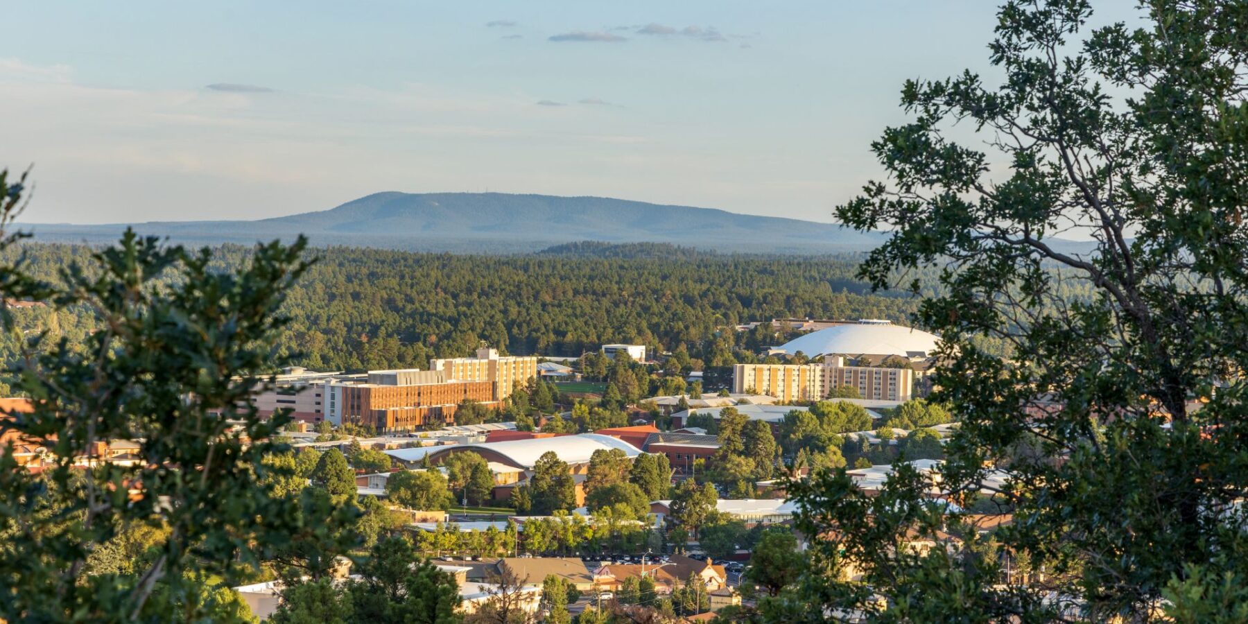 Motor Vehicle Accident Attorneys in Flagstaff