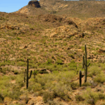 Apache County Personal Injury Attorneys image