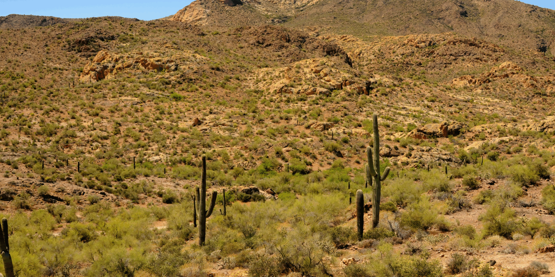 Apache County Personal Injury Attorneys image