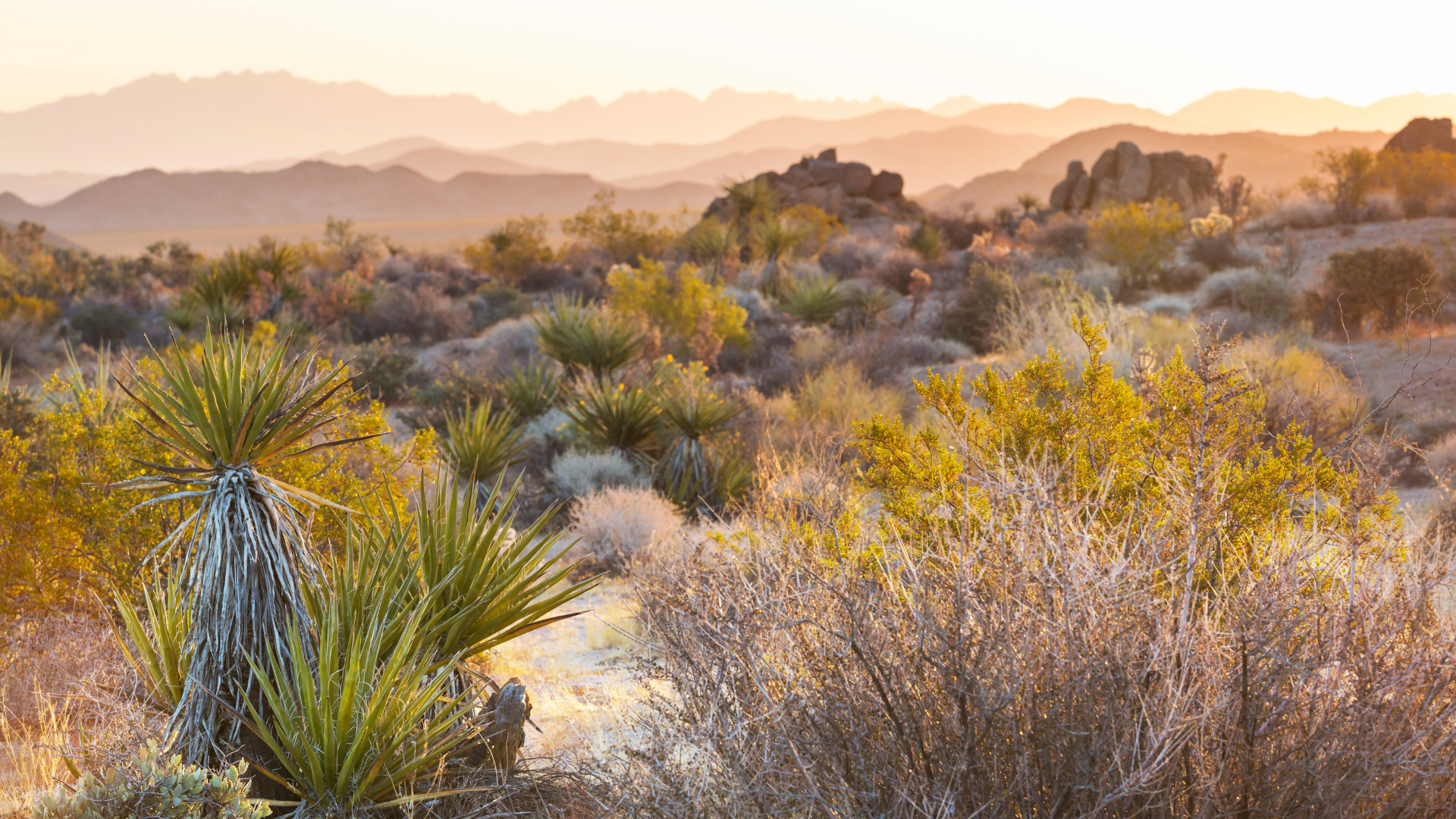 Car Accidents On US 60 Through Globe And Miami Demand Immediate Legal Action image