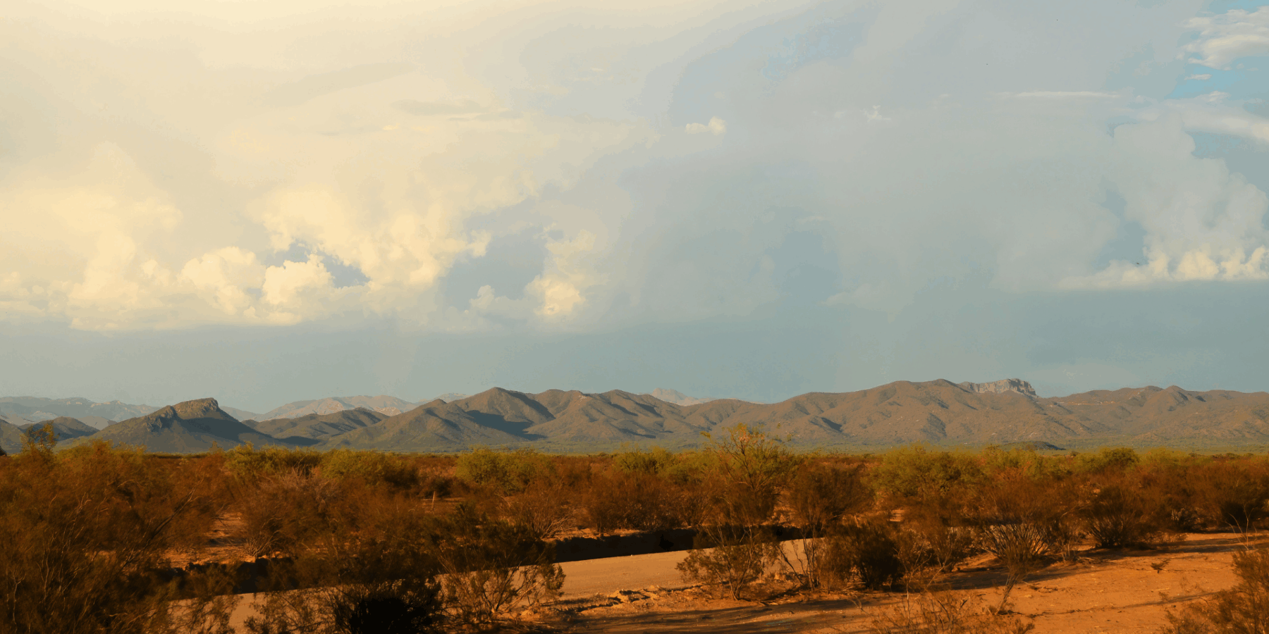 Gila County Personal Injury Attorneys image