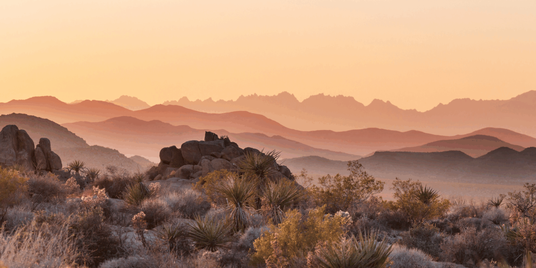 La Paz County Personal Injury Attorneys image