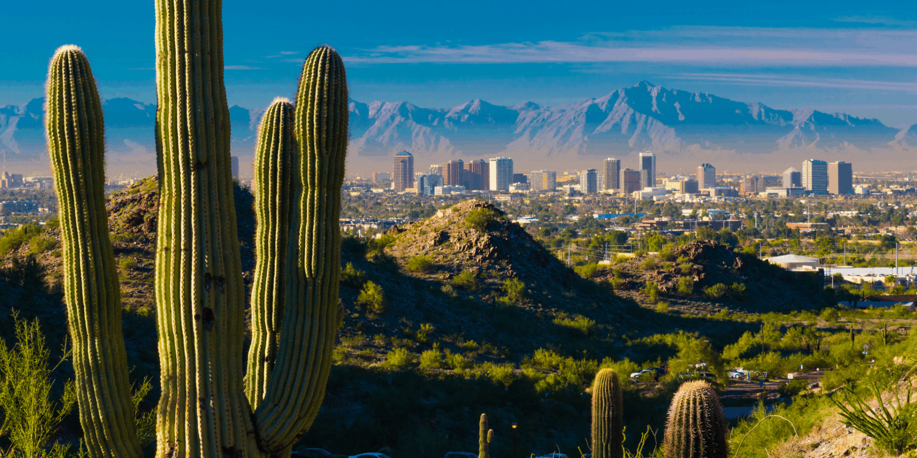 Maricopa County Personal Injury Attorneys image