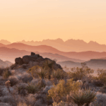 Motor Vehicle Accident Attorneys in Prescott Valley