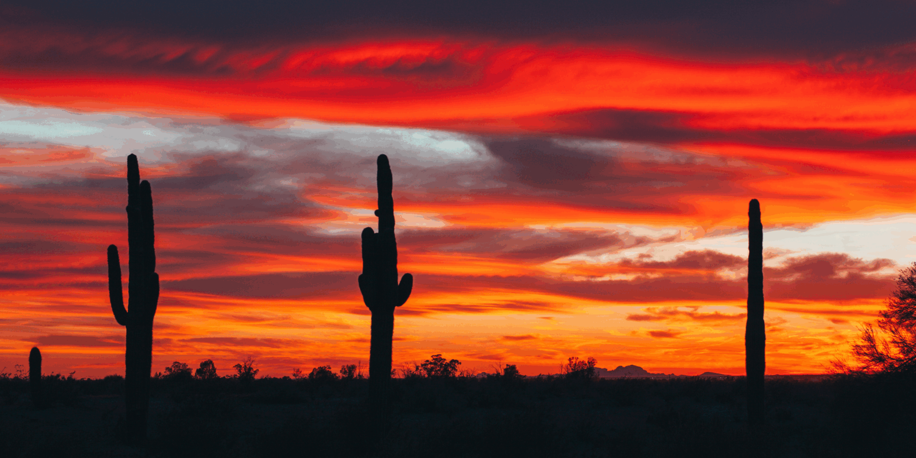 Motor Vehicle Accident Attorneys in Safford