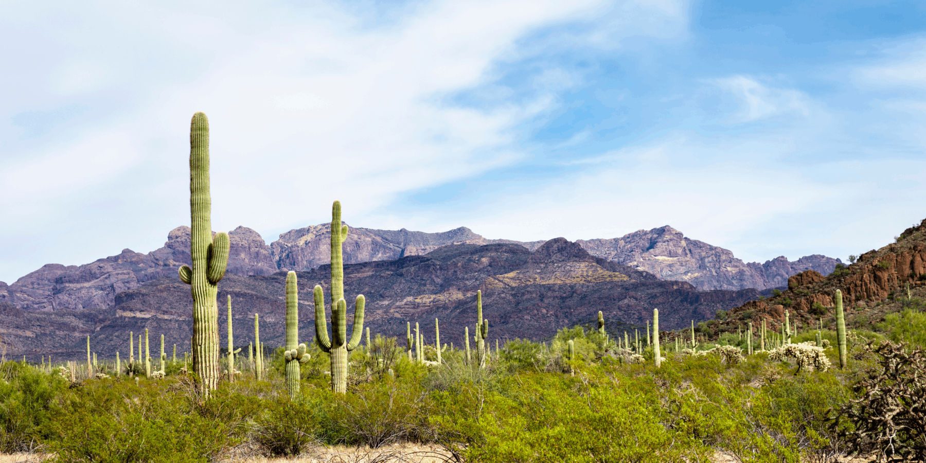 Motor Vehicle Accident Attorneys in Surprise