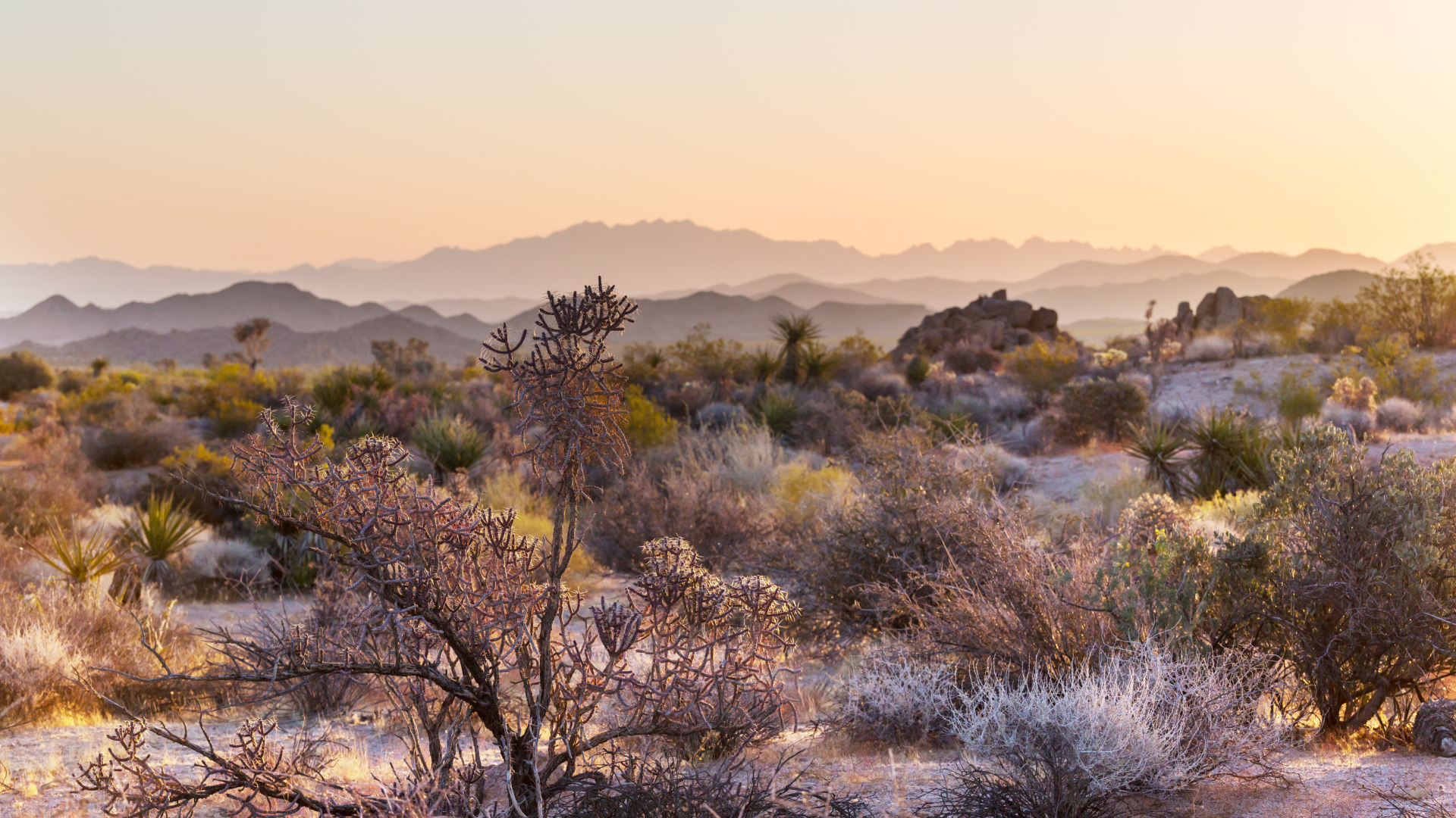 Why Tourists and Seasonal Visitors Increase Lyft and Uber Crash Risks in Gila County image