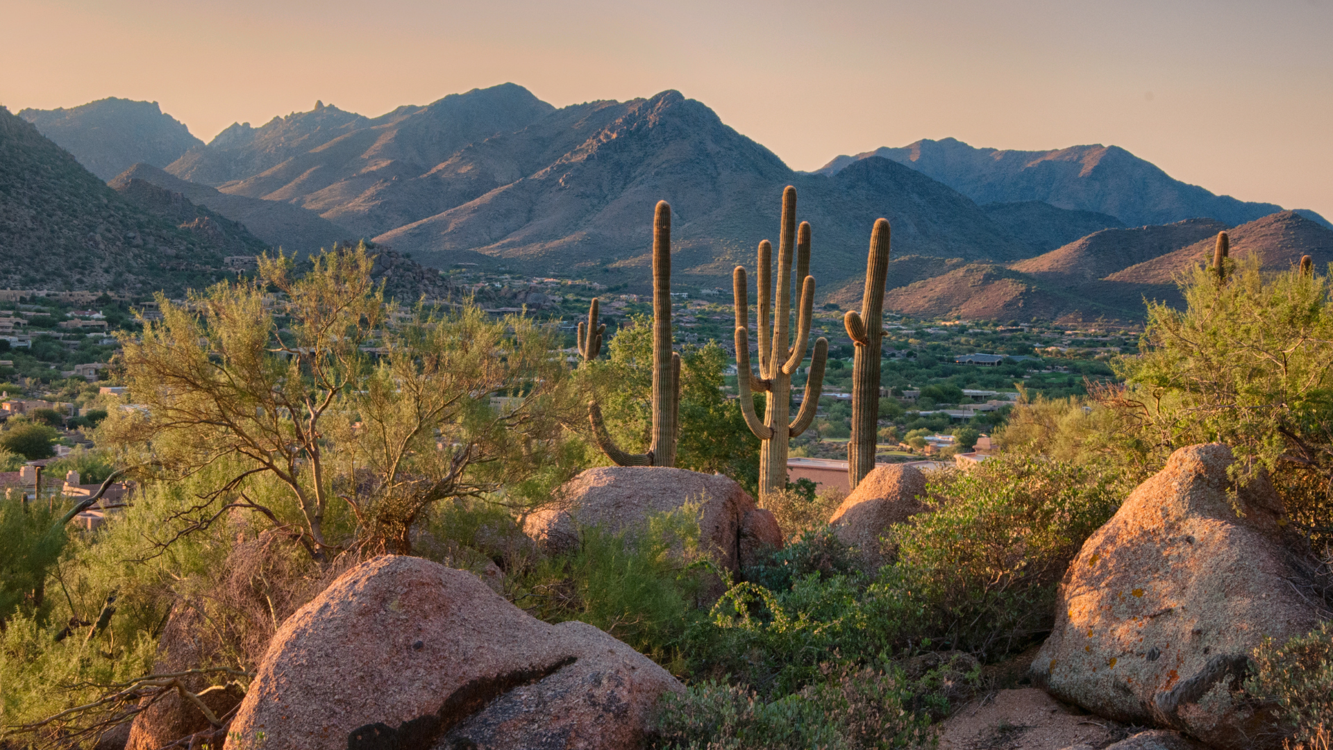 How Car Accident Attorneys in Arizona Support Peoria Crash Victims