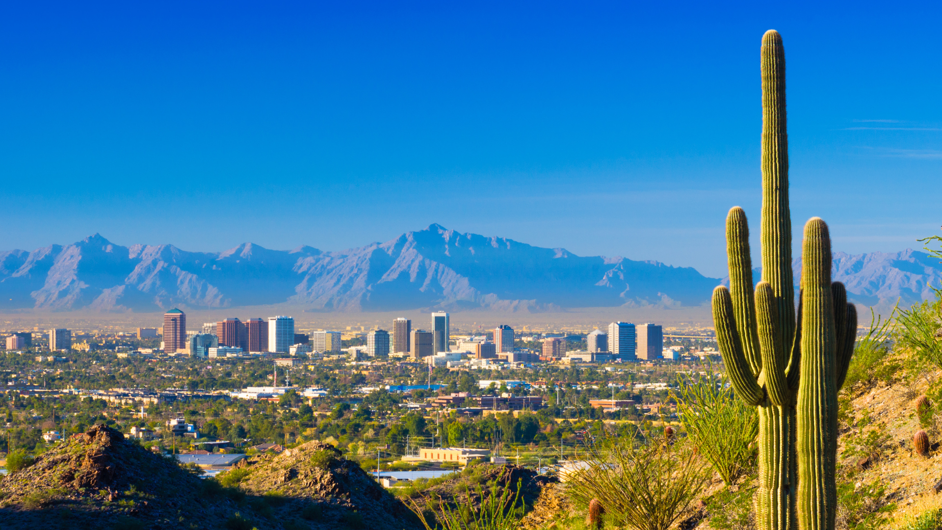 North Phoenix Police Identify Motorcyclist Killed in Collision With SUV