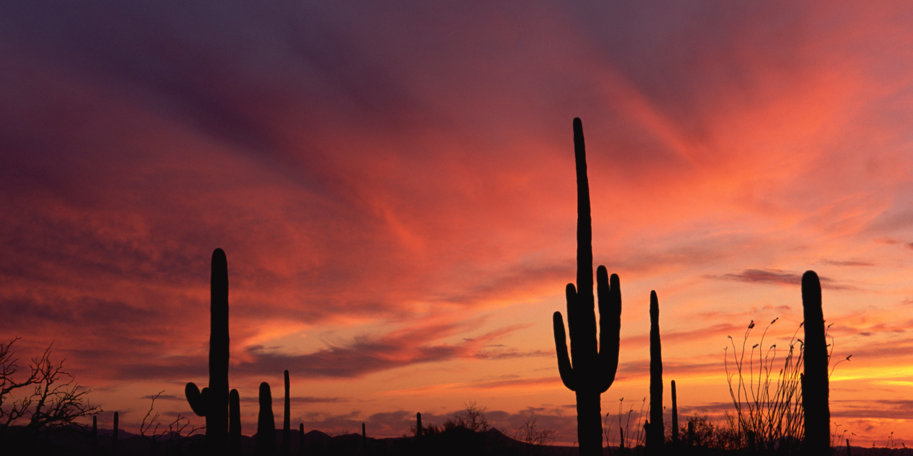 Slew of Dangerous Crashes in Tucson Cloud Memorial Day Weekend