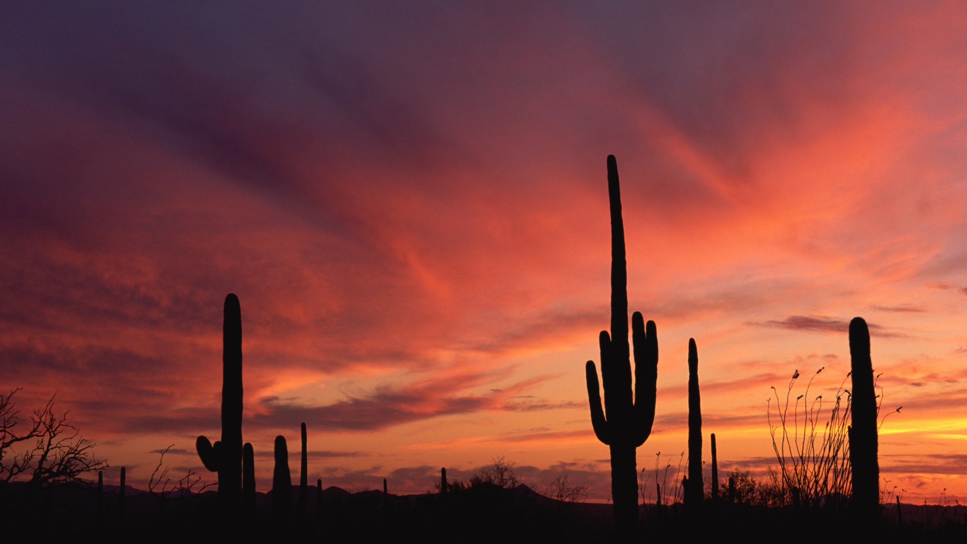 Slew of Dangerous Crashes in Tucson Cloud Memorial Day Weekend